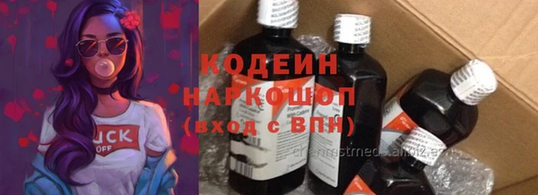 сатива Бронницы
