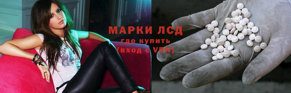 сатива Бронницы