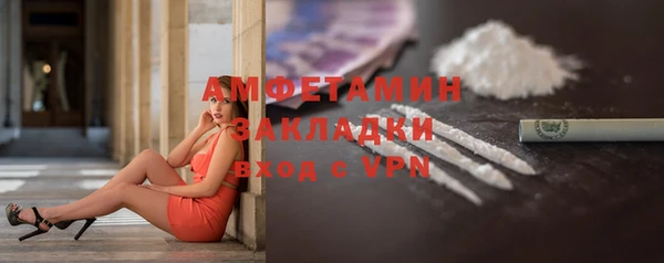 сатива Бронницы