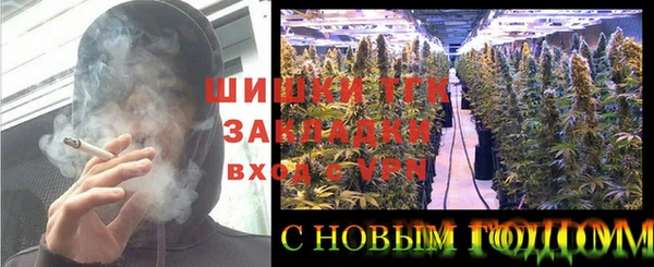 сатива Бронницы