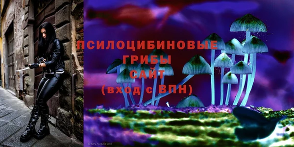 сатива Бронницы