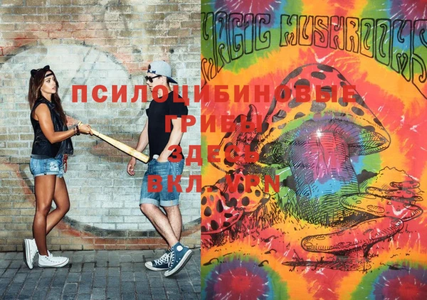 сатива Бронницы