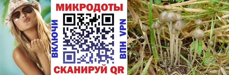 Псилоцибиновые грибы мухоморы Купить где Верхняя Салда
